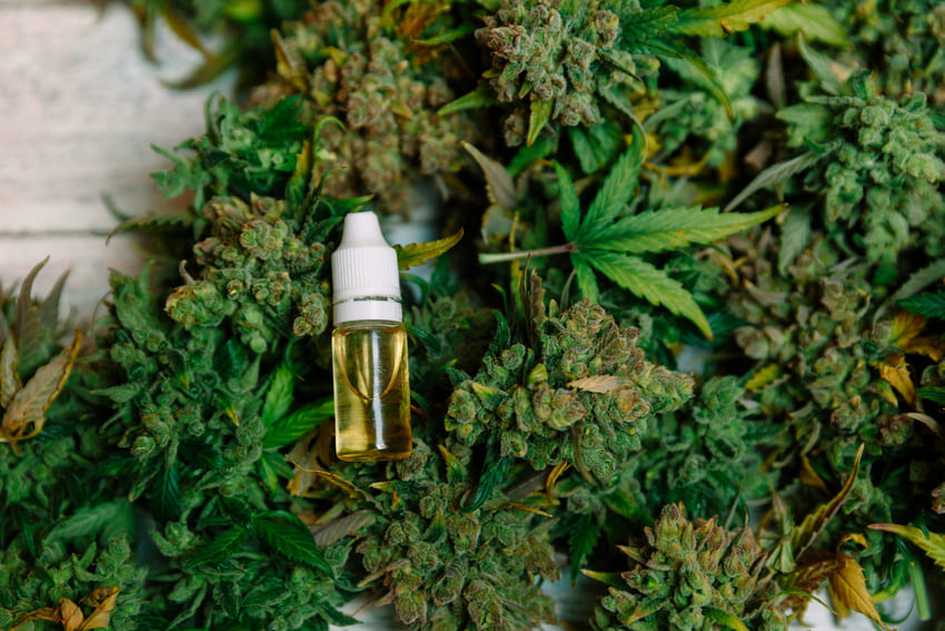 contraindicaciones aceite cbd
